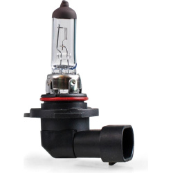 H10 12V 42W PY20d plast. cokolis kampu Z22