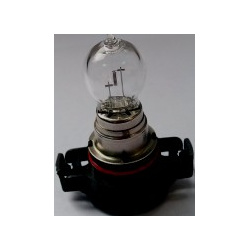 PS19W 12V 19W PG20/1